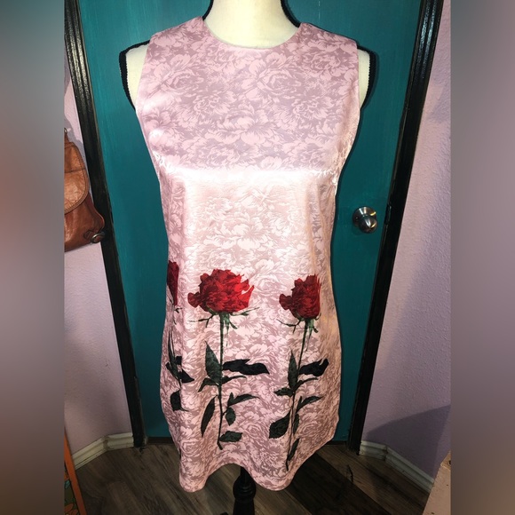 Baby Pink Red Rose Shift Dress 🌹 - Picture 5 of 15